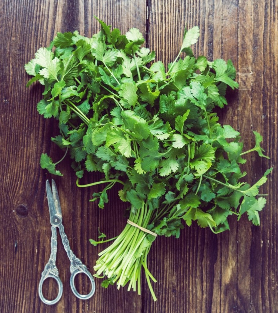 Unser Rezept für eine wärmende und feurige rote Kokos-Linsensuppe aus der Miomente-Küche | Miomente Entdeckermagazin