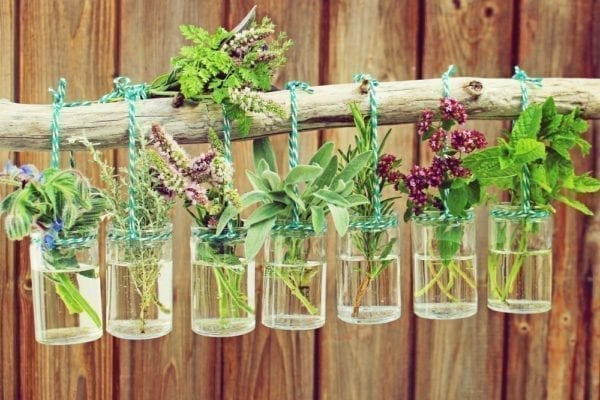 Tahini zum gebackenen Blumenkohl mit frischen Kräutern - Entdeckermagazin Miomente