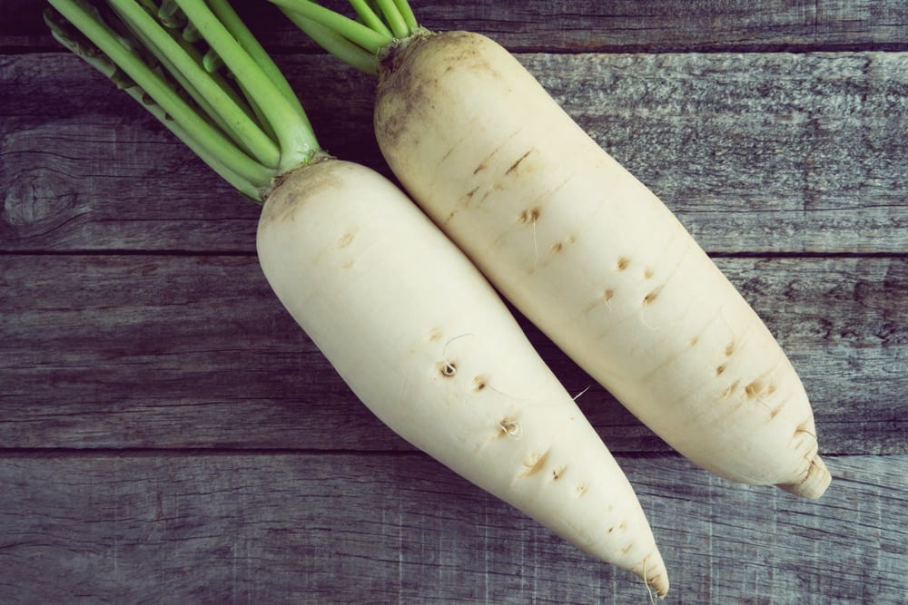 11 trendige Superfoods - Daikon-Rettich oder Winterrettich - Entdeckermagazin - Miomente