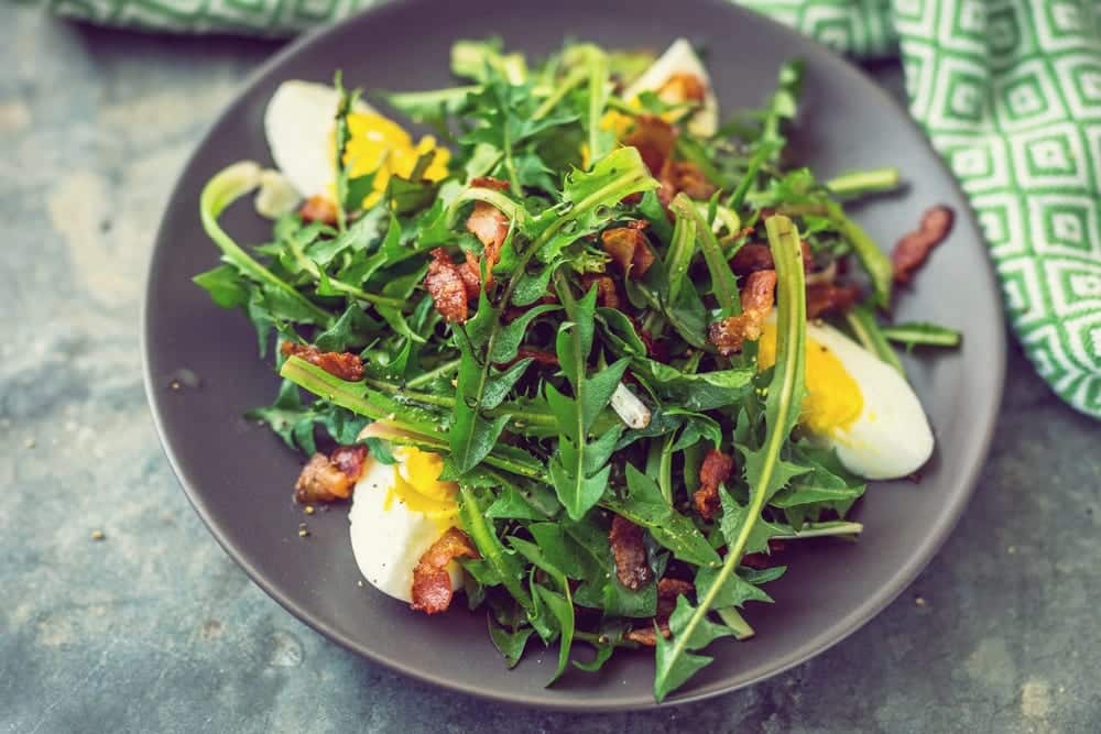 11 Superfodds nach Kohl-Trend - Löwenzahn - Entdeckermagazin - Miomente