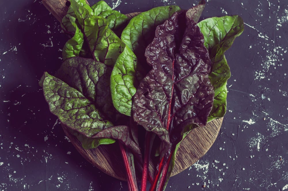 11 Trend-Superfoods - Mangold - Entdeckermagazin - Miomente
