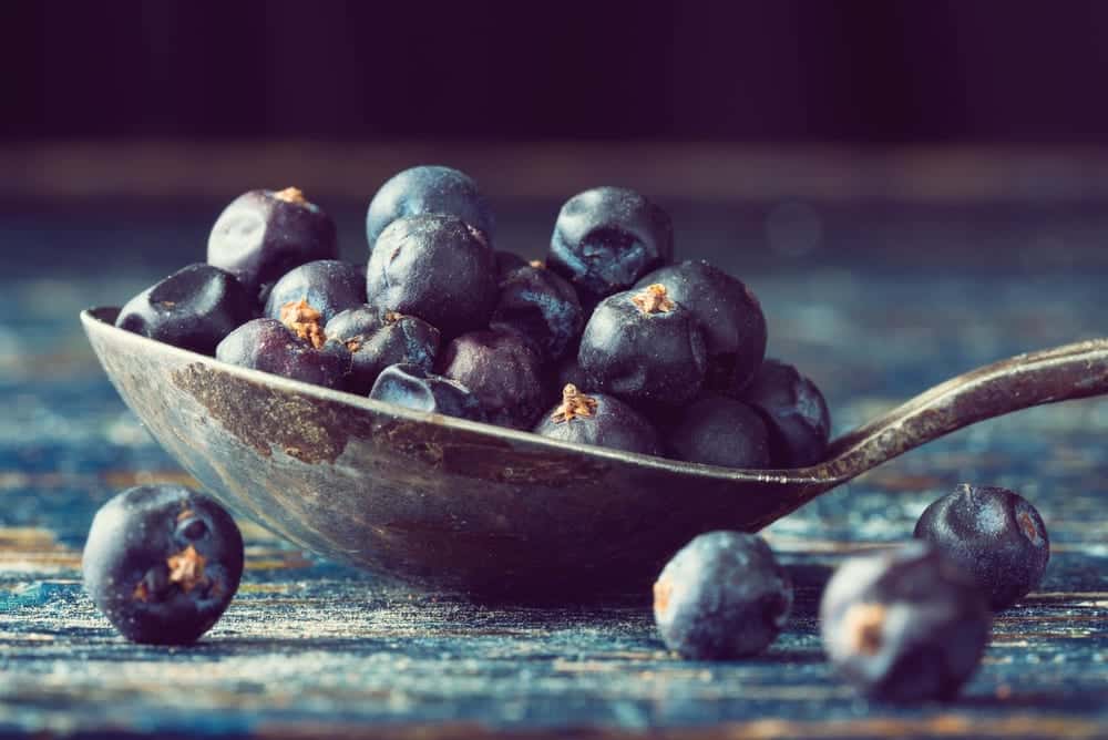 Cocktailrezept von Bar Manager Roman Kern aus Sophia's Bar im Charles Hotel München - Spritzige Cocktail-Kurse | Miomente Entdeckermagazin