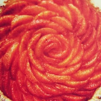 LAFER - das Beste: das neue Kochbuch von dem österreichischen Profikoch Johann Lafer - Rezept Orangenkuchen | Miomente Entdeckermagazin