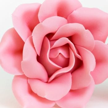 Tortendekoration für Profis: Fondant, Royal Icing & Co. | Anleitung Modellierung Fondant-Rosen | Miomente Entdeckermagazin