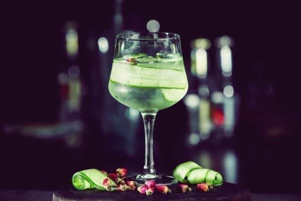 Gin-Lexikon: kennst du alle Begriffe und bist du ein echter GINsider? | Miomente Entdeckermagazin