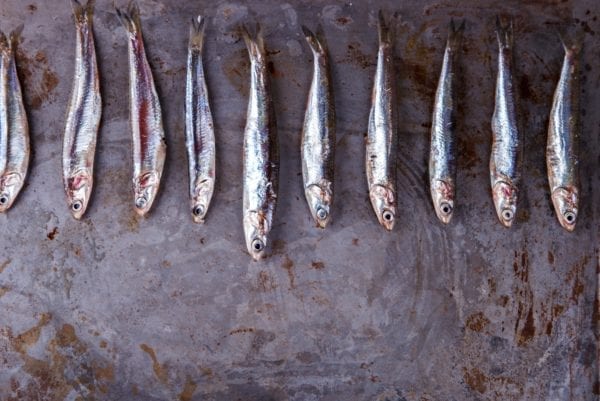 Raffaele Trongones Geheimtipps aus der italienischen Küche – Alles über Tomatensaucen, Risotto, Panna Cotta und Arancini | Miomente Entdeckermagazin