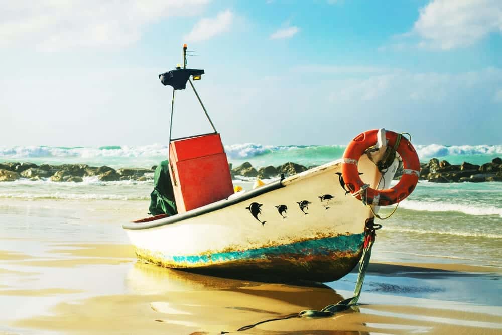 Fisch und die levante-Küche. das Entdeckermagazin Miomente in Tel Aviv