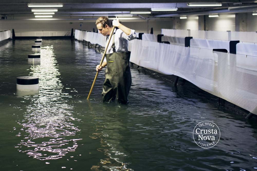 Bayerische Garnele in Bio-Qualität - CrustaNova - Entdeckermagazin Miomente