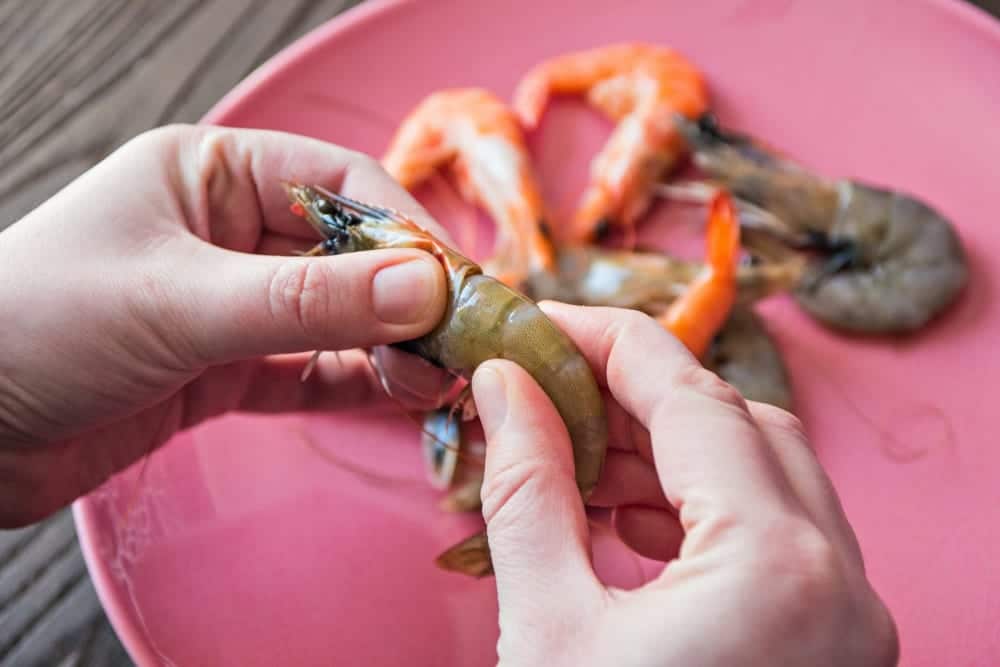 Bayerische Garnele in Bio-Qualität - CrustaNova - Garnelen schälen & entdarmen - Entdeckermagazin Miomente