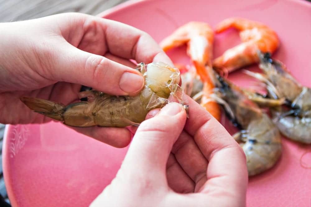 Bayerische Garnele in Bio-Qualität - CrustaNova - Garnelen schälen & entdarmen - Entdeckermagazin Miomente