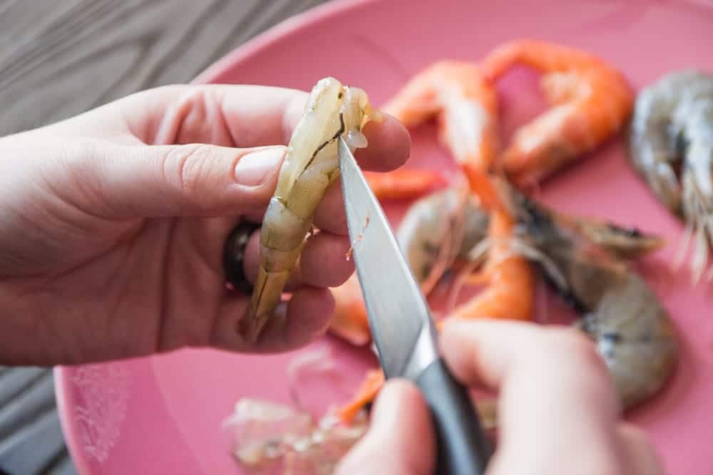 Bayerische Garnele in Bio-Qualität - CrustaNova - Garnelen schälen & entdarmen - Entdeckermagazin Miomente