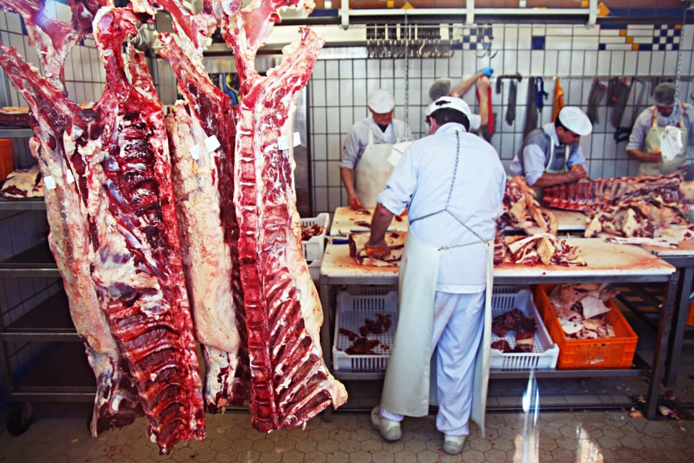 Herrmannsdorfer Landwerkstätten – Bio-Fleisch & Regionale Bio-Produkte | Miomente Entdeckermagazin