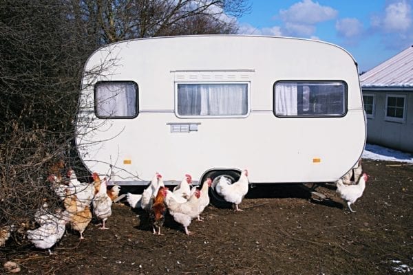Herrmannsdorfer Landwerkstätten – Bio-Fleisch & Regionale Bio-Produkte | Miomente Entdeckermagazin
