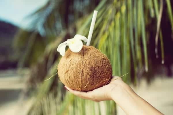 Kokosnussprodukte - Kokoswasser aus der Tropenfrucht - Entdeckermagazin - Miomente