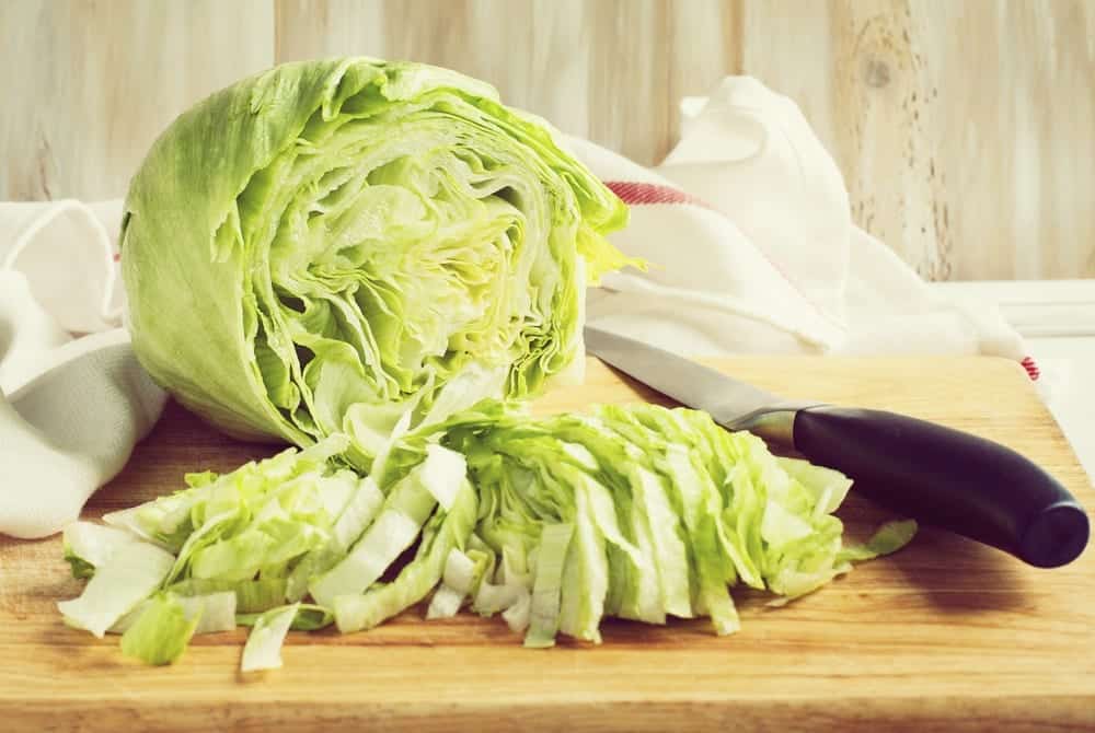 Salat-Lexikon - Eisbergsalat - Entdeckermagazin - Miomente