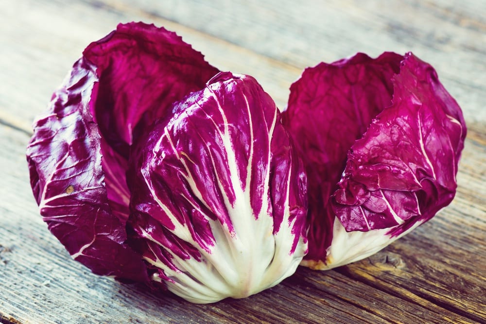 Salat-Lexikon - Radicchio - Entdeckermagazin - Miomente