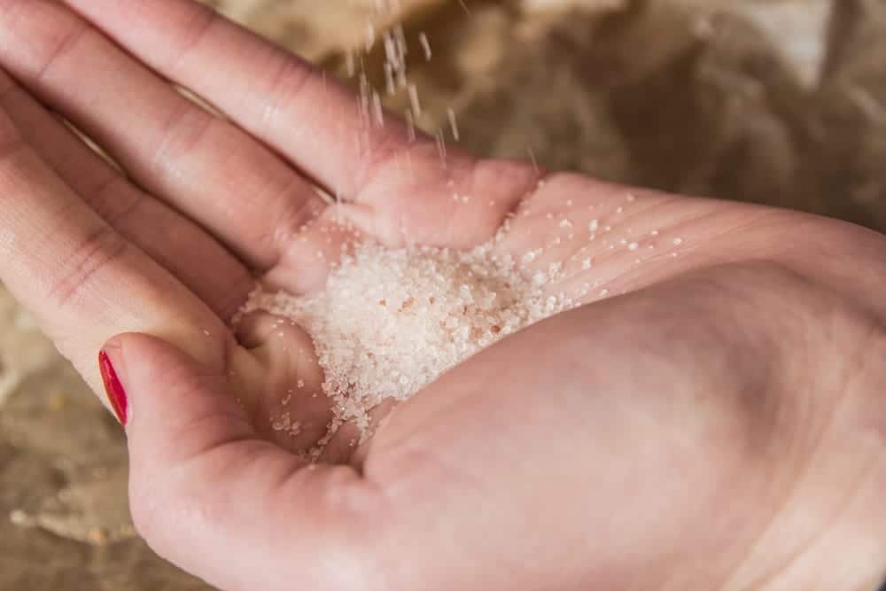 Try Foods - Try Salz - Rosensalz - Entdeckermagazin - Miomente