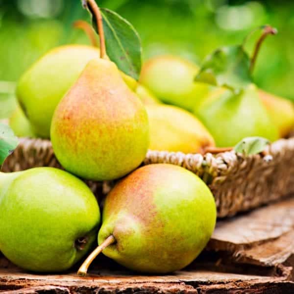 Rezept für Obadzn mit Birne, Obstler und Breznchips von Koch Markus Kieslich - Kochkurse in Wolfratshausen, München | Miomente Entdeckermagazin