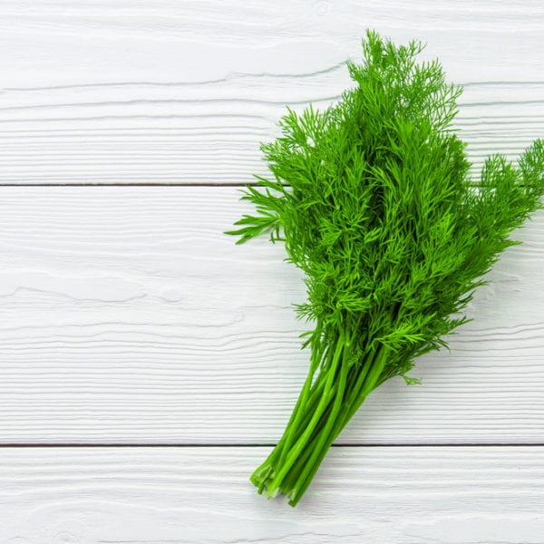 Dill für geeiste Gurkensuppe