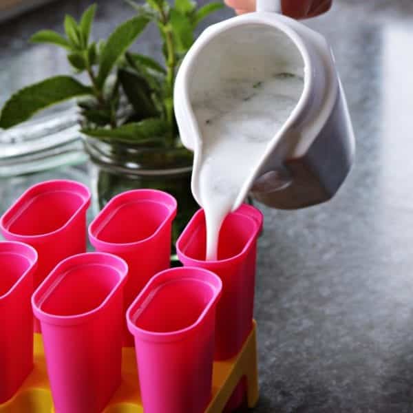 Eis selber machen: Popsicles - Entdeckermagazin Miomente