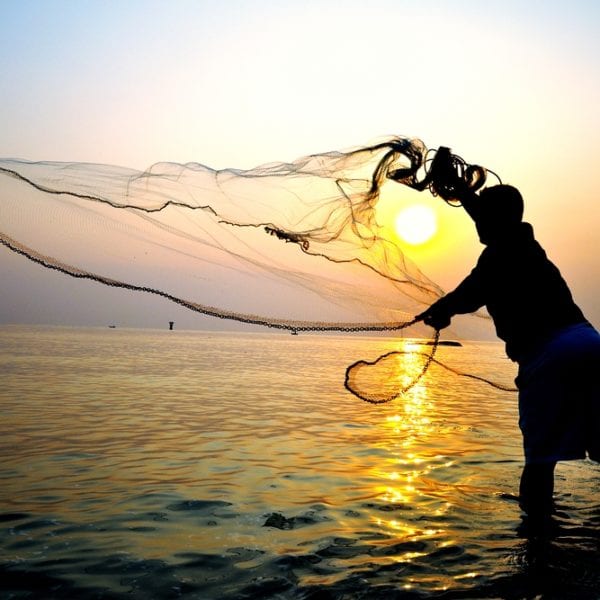 Koch Markus Kieslich über nachhaltige Fischzucht und Wildfang - Entdeckermagazin - Miomente