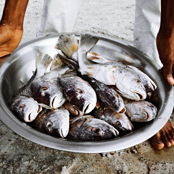 Koch Markus Kieslich über nachhaltige Fischzucht, spannende Gewürzkombinationen und seinen Lieblingsfisch Cobia - Entdeckermagazin - Miomente