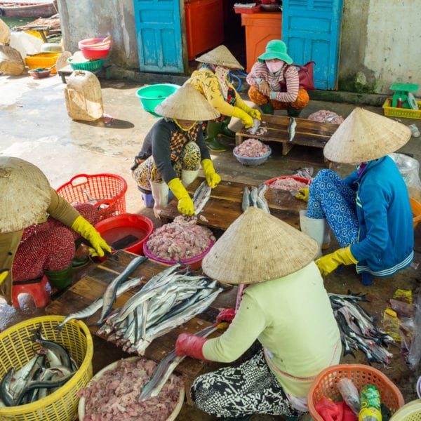 Fischer sortieren den Fang für Fischsauce