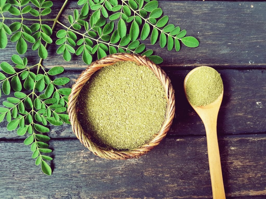 Was ist Moringa - Neues Superfood - Entdeckermagazin - Miomente