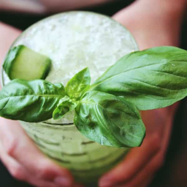 Interview mit Bar-Manager Roman Kern aus Sophia's Bar im The Charles Hotel München – alkoholfreie Gurken-Limonade – Entdeckermagazin Miomente