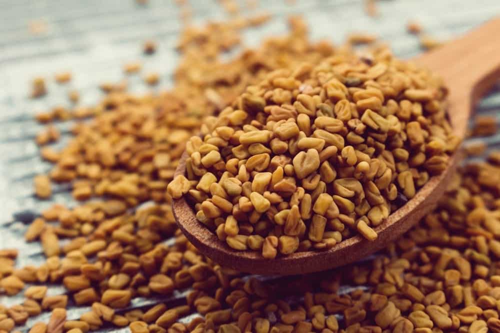 Gesundes Gewürz - Bockshornklee - Bockshornkleesamen auf Löffel | Entdeckermagazin Miomente