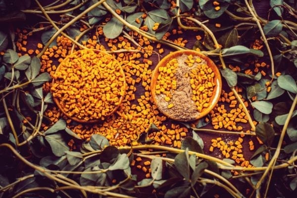 Gewürz-Lexikon - Bockshornkleesamen und -blätter | Entdeckermagazin Miomente