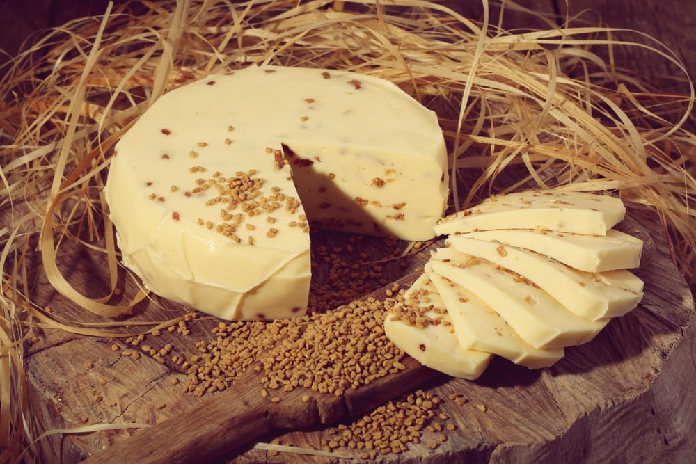 Gewürze - Bockshornklee im Käse - Entdeckermagazin Miomente