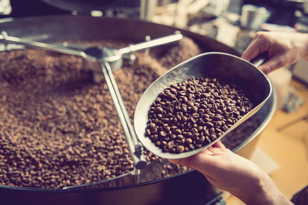Die beliebtesten Kaffeesorten | Arabica führt den Weltmarkt an | Entdeckermagazin Miomente