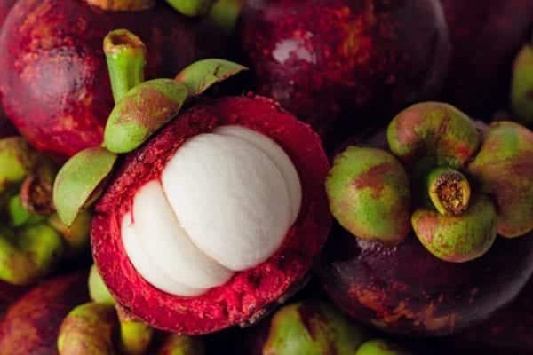 Mangosteen – die Königin der Früchte aus Malaysia | Entdeckermagazin Miomente
