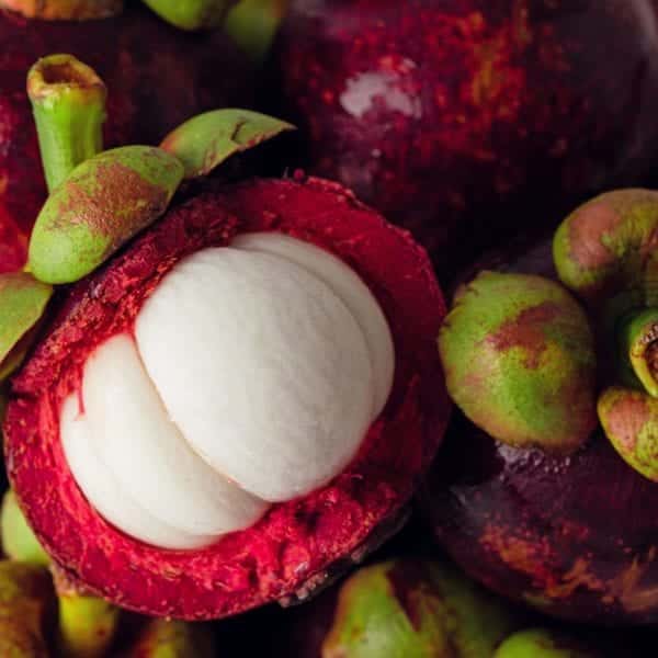 Mangosteen – die Königin der Früchte aus Malaysia | Entdeckermagazin Miomente