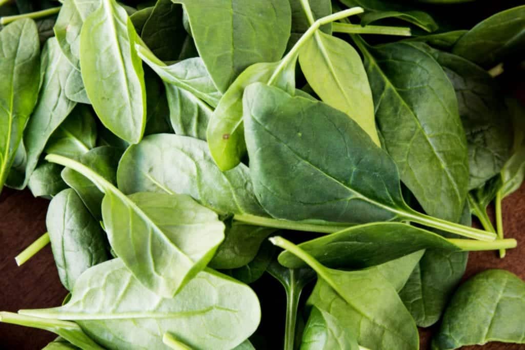 Rezept für einen grünen Ingwer-Shot mit Spinat & Apfel | Miomente Entdeckermagazin