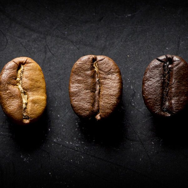 Verschiedene Röstgrade von Kaffeebohnen