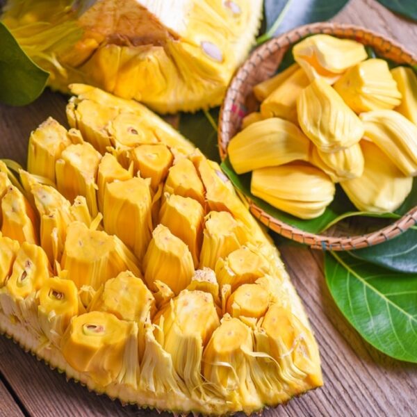 Reife Jackfruit innen