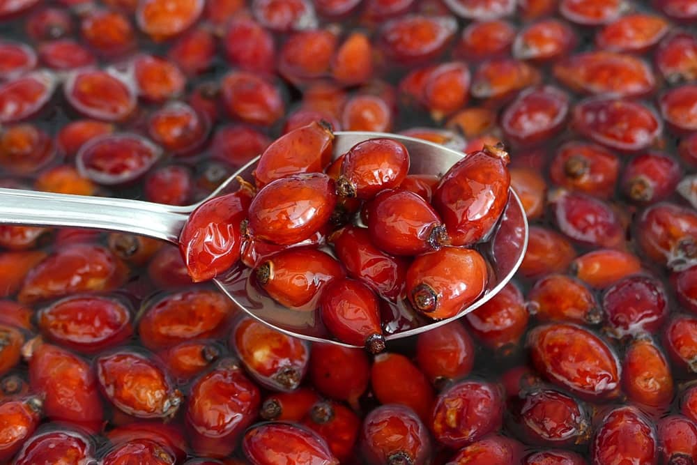 Hagebutten einkochen