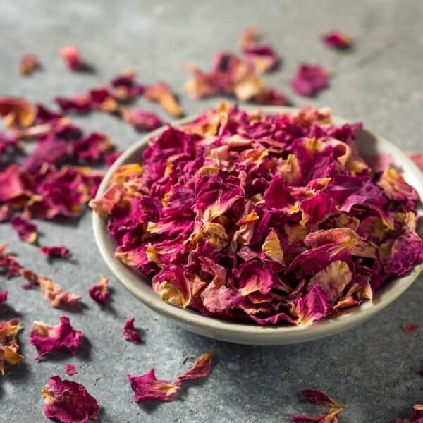 essbare Rosenblüten getrocknet