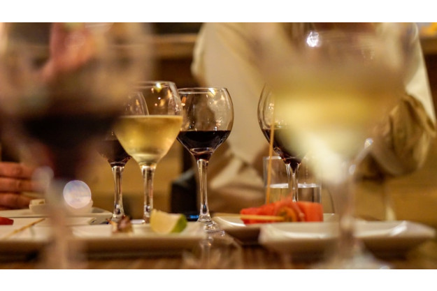 Weinseminar Köln: Weinstöcke in der Kapregion