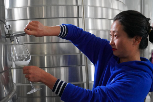 digitales Event Weinreise China Weinausbau