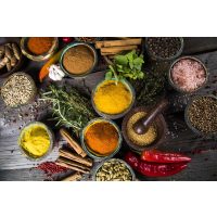 Indischer Kochkurs Köln – Vielfalt der Gewürze