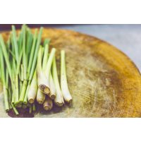 Indischer Kochkurs Köln – Zitronengras