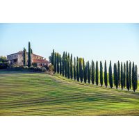 virtuelle Reise in die Toskana, Panorama