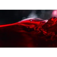 Weinseminar Köln: Rotwein in Bestform