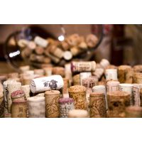 Weinseminar Köln: große Sammlung von Weinkorken