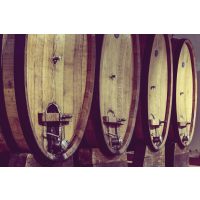 Whisky-Tasting Köln – Whisky-Fässer im Keller