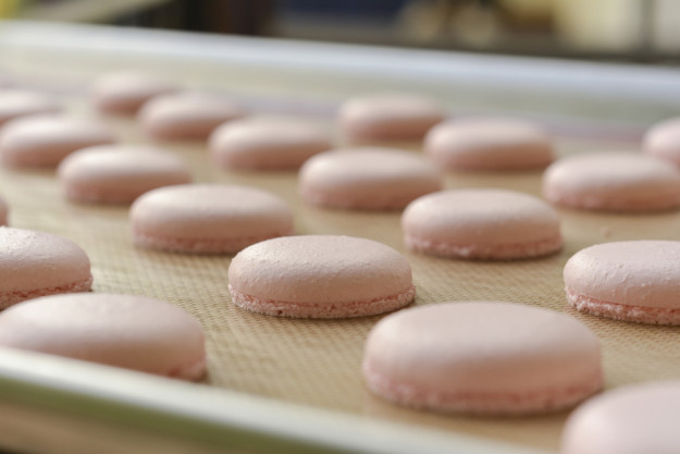 Backkurs Frankfurt – Macarons zusammensetzen
