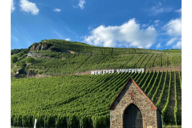 Weinprobe Frankfurt – Weinregion Mosel